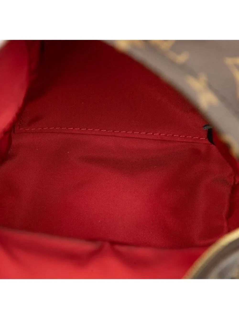 Louis Vuitton Monogram Palm Springs Mini Backpack Brown Leather